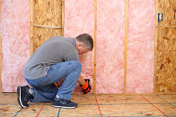 Best Insulation Maintenance and Repair in Coldwater, OH