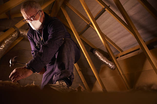 Best Geographic-Specific Insulation Services in Coldwater, OH
