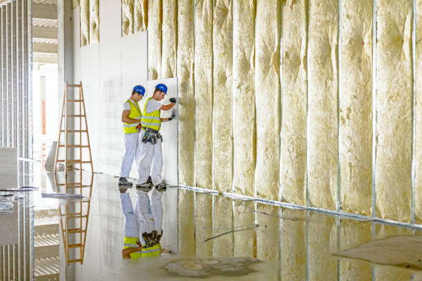 Best Cellulose Insulation in Coldwater, OH